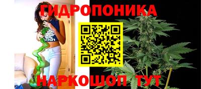 спайс Кунгур