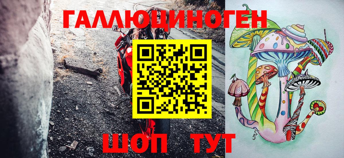 Псилоцибиновые грибы мухоморы Кингисепп
