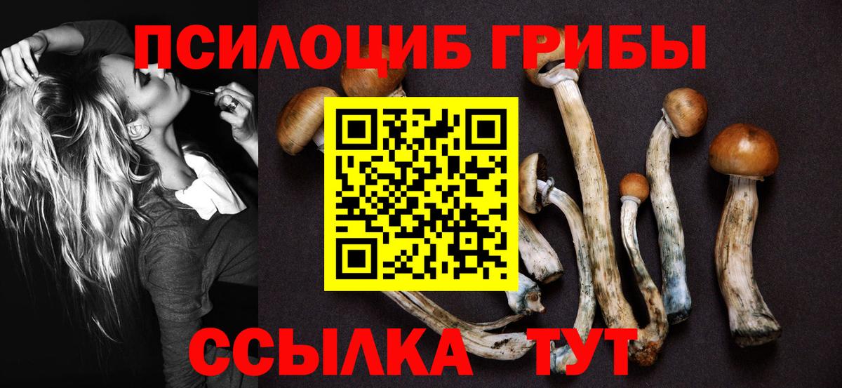 Псилоцибиновые грибы мухоморы  Галлюциногенные грибы Magic Shrooms  Вход с VPN  Кингисепп 